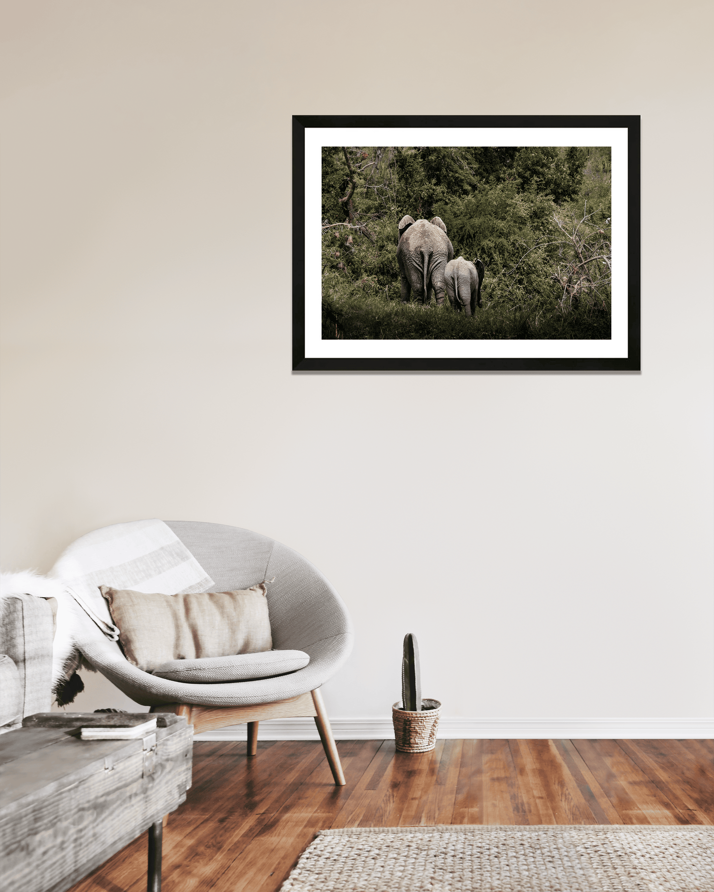 First Steps into the Wild - Zwei Zebras