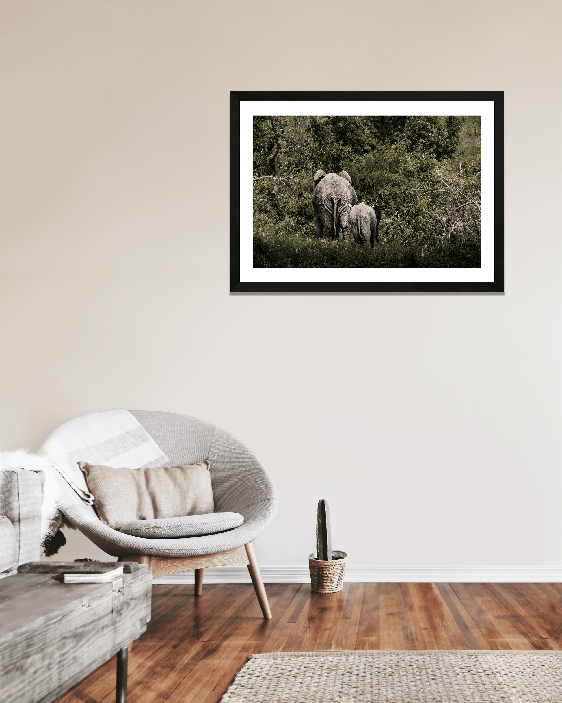 First Steps into the Wild - Zwei Zebras