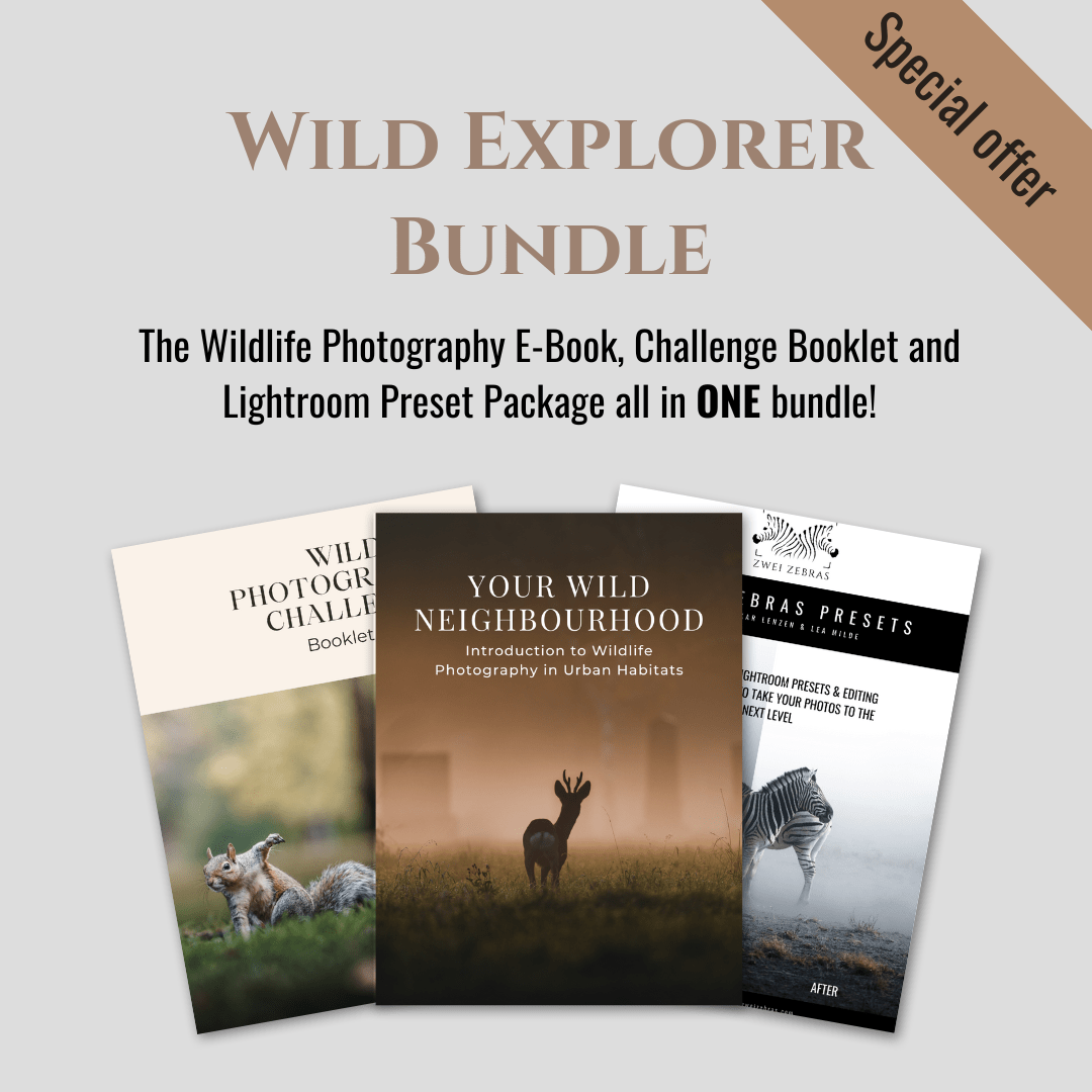 Wild Explorer Bundle - Zwei Zebras