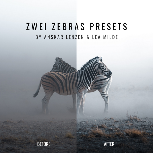 Zwei Zebras - Preset Package